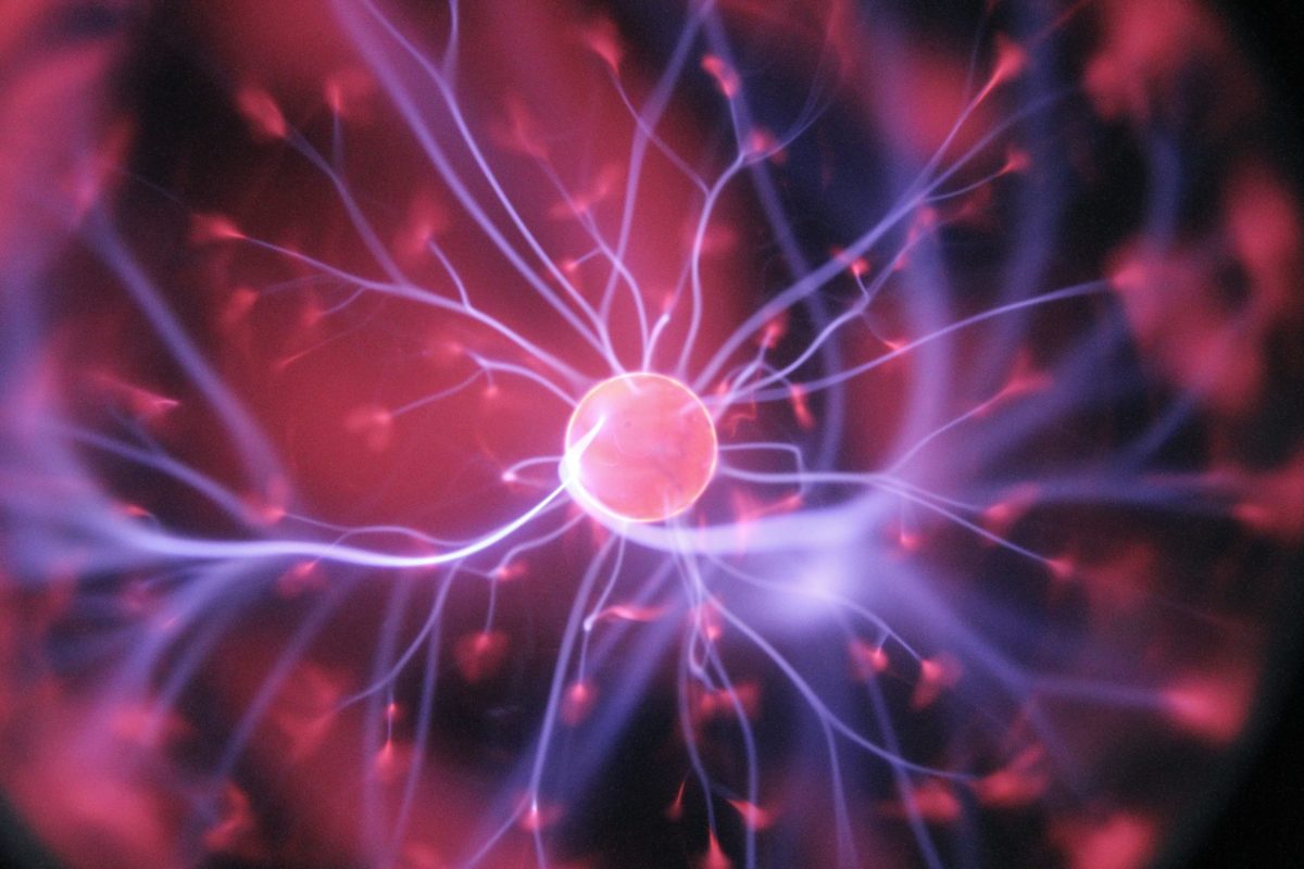 The Quantitative Comparison Between the Neuronal Network and the Cosmic Web